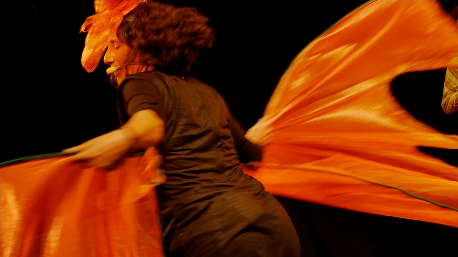 Cascabel va de viaje. mariposa Andrew Gallego